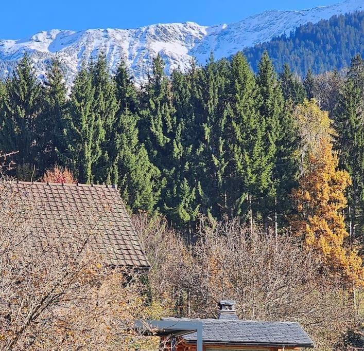 La Petite Maison Bonvillard المظهر الخارجي الصورة